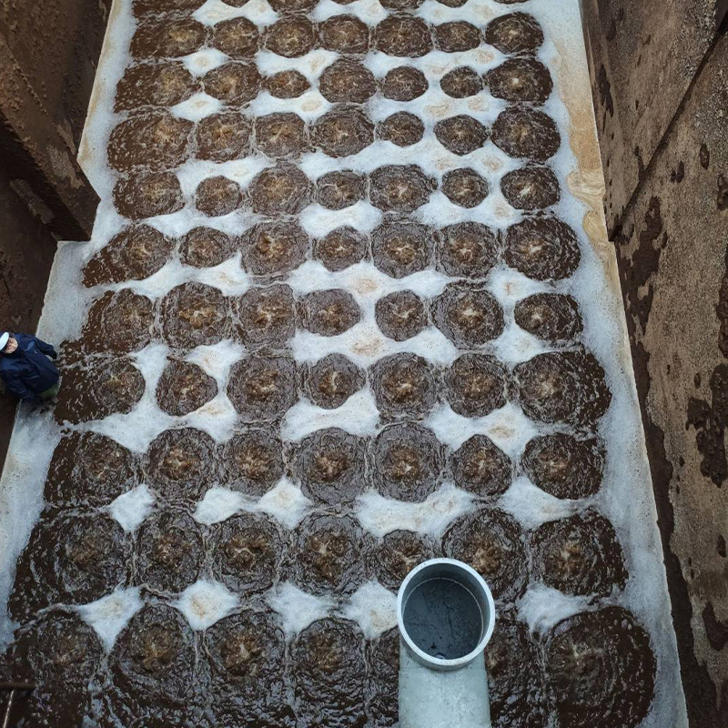 Spherical Aeration Diffuser